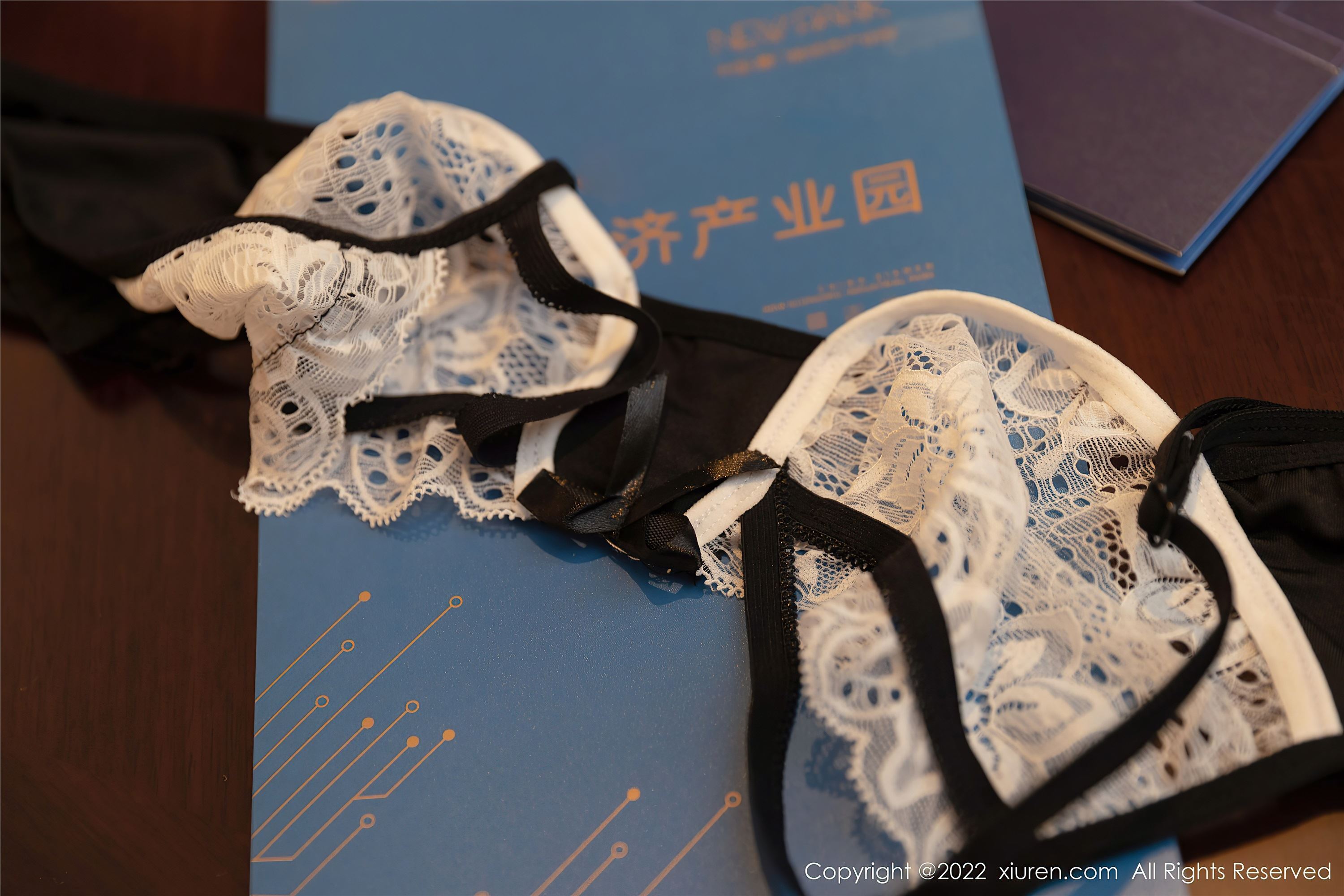 Xiuren秀人网 2022.03.25 NO.4775 王雨纯